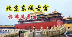 欧美老女人偷情黄片中国北京-东城古宫旅游风景区